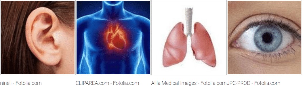 4 Bilder 1 Wort Losung 334